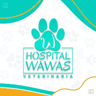 wawas